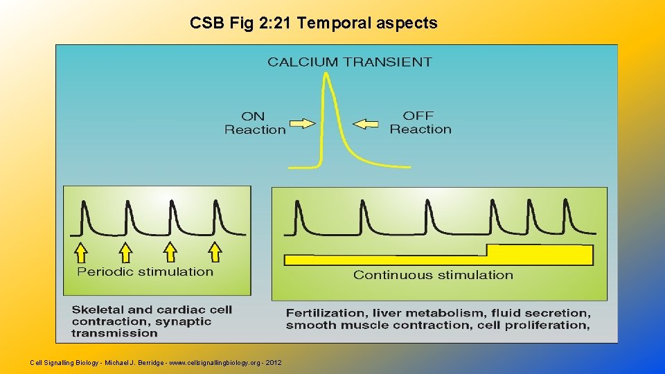 CSB Fig 2: 21 Temporal aspects Cell Signalling Biology - Michael J. Berridge -