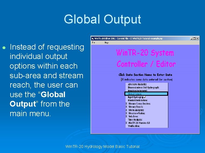 Global Output ● Instead of requesting individual output options within each sub-area and stream