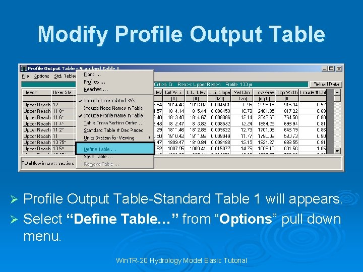 Modify Profile Output Table-Standard Table 1 will appears. Ø Select “Define Table…” from “Options”