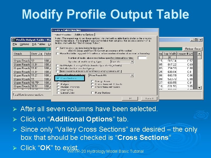 Modify Profile Output Table After all seven columns have been selected. Ø Click on