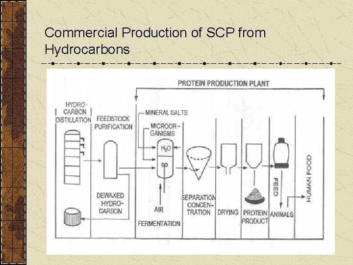 Commercial Production of SCP from Hydrocarbons 