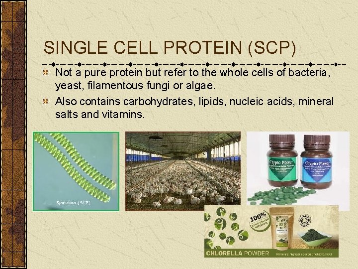 SINGLE CELL PROTEIN (SCP) Not a pure protein but refer to the whole cells