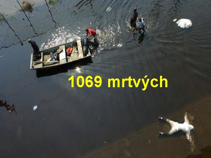 1069 mrtvých 