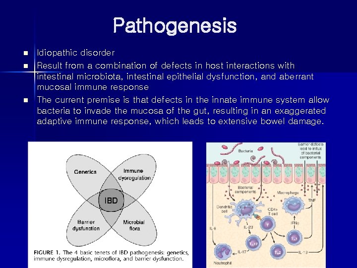 Pathogenesis n n n Idiopathic disorder Result from a combination of defects in host