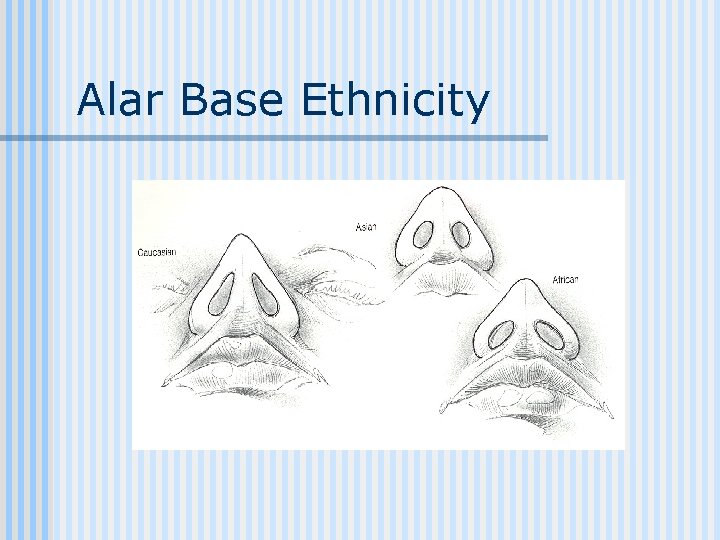 Alar Base Ethnicity 