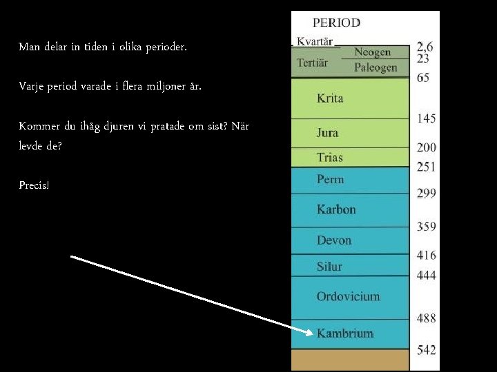 Man delar in tiden i olika perioder. Varje period varade i flera miljoner år.