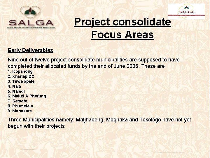 Project consolidate Focus Areas Early Deliverables Nine out of twelve project consolidate municipalities are