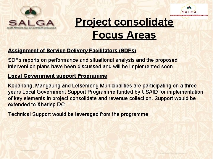 Project consolidate Focus Areas Assignment of Service Delivery Facilitators (SDFs) SDFs reports on performance