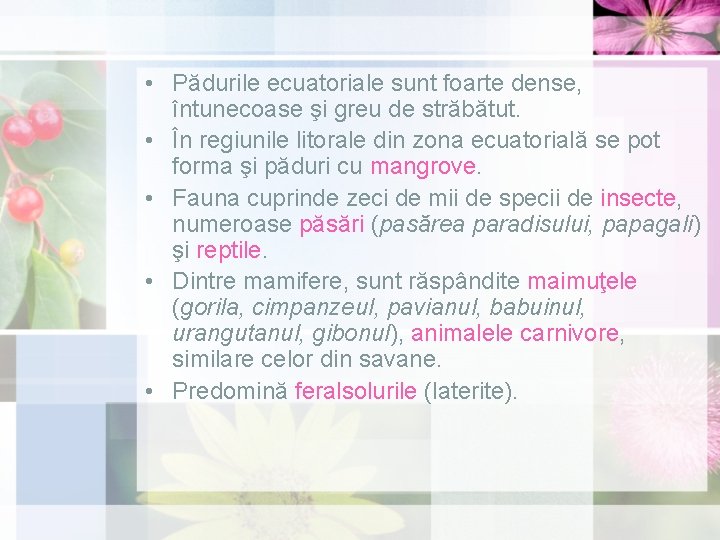  • Pădurile ecuatoriale sunt foarte dense, întunecoase şi greu de străbătut. • În