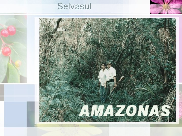 Selvasul 