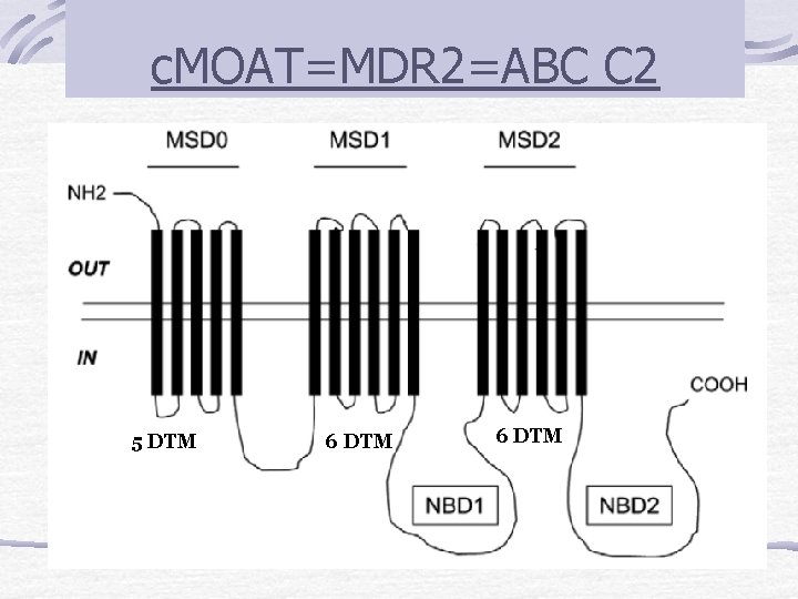 c. MOAT=MDR 2=ABC C 2 5 DTM 6 DTM 