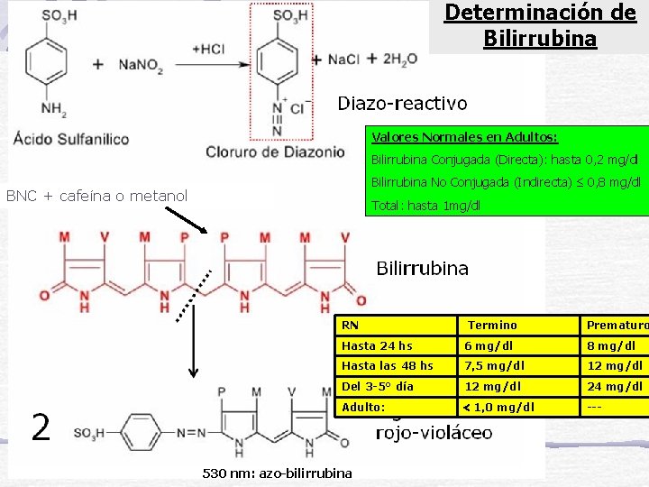 Determinación de Bilirrubina Valores Normales en Adultos: Bilirrubina Conjugada (Directa): hasta 0, 2 mg/dl