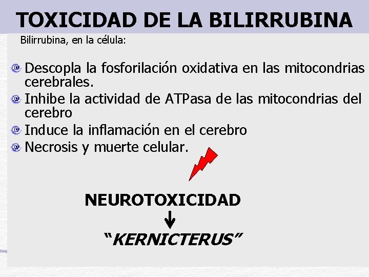 TOXICIDAD DE LA BILIRRUBINA Bilirrubina, en la célula: Descopla la fosforilación oxidativa en las