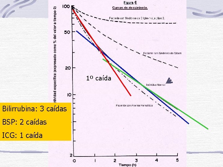 1º caída Bilirrubina: 3 caídas BSP: 2 caídas ICG: 1 caída 