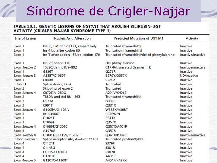 Síndrome de Crigler-Najjar Biología Molecular 