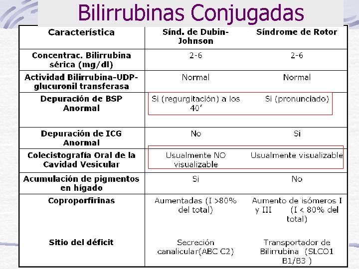 Bilirrubinas Conjugadas 