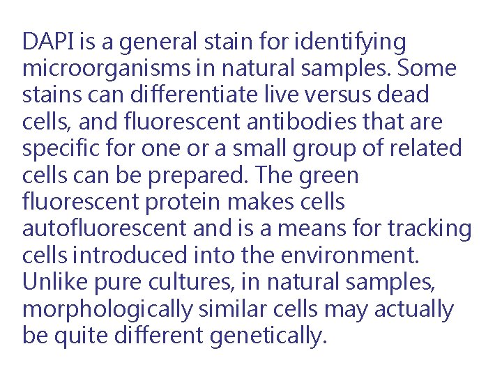 DAPI is a general stain for identifying microorganisms in natural samples. Some stains can