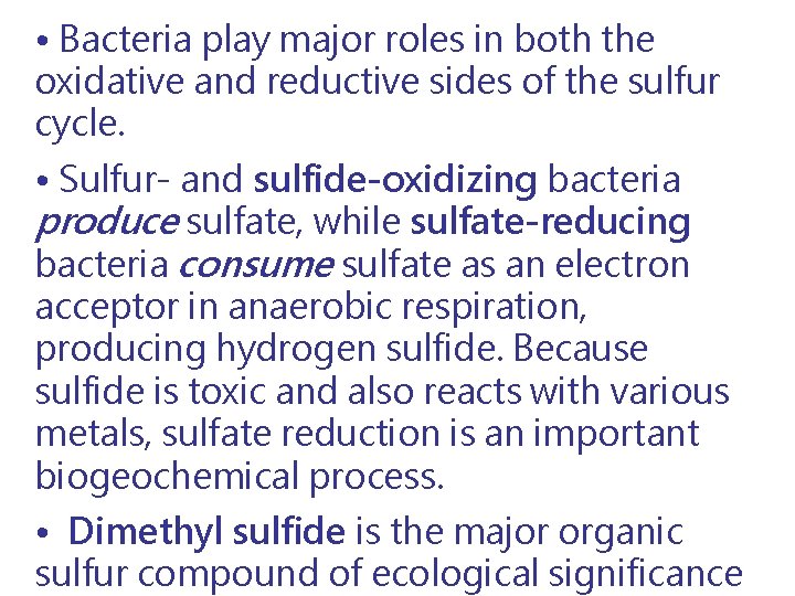  • Bacteria play major roles in both the oxidative and reductive sides of