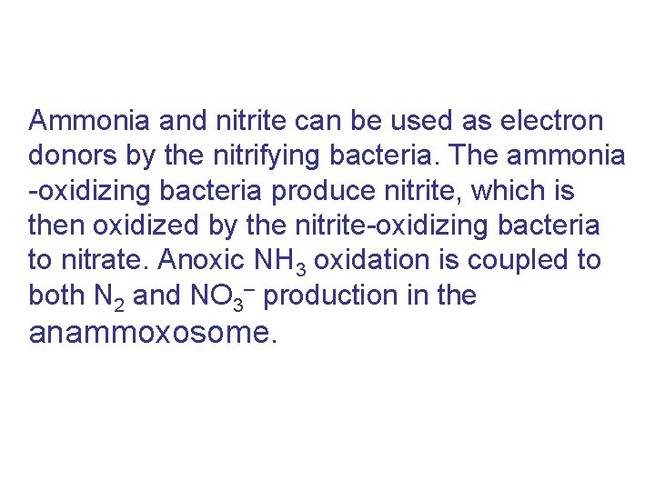 Ammonia and nitrite can be used as electron donors by the nitrifying bacteria. The