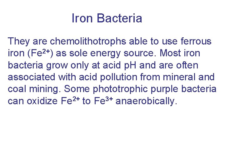 Iron Bacteria They are chemolithotrophs able to use ferrous iron (Fe 2+) as sole