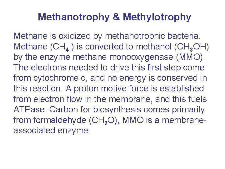 Methanotrophy & Methylotrophy Methane is oxidized by methanotrophic bacteria. Methane (CH 4 ) is