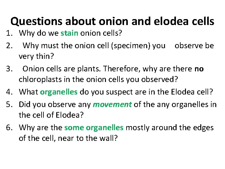 Questions about onion and elodea cells 1. Why do we stain onion cells? 2.