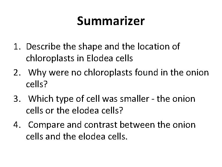 Summarizer 1. Describe the shape and the location of chloroplasts in Elodea cells 2.