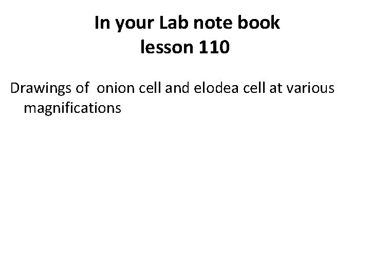 In your Lab note book lesson 110 Drawings of onion cell and elodea cell