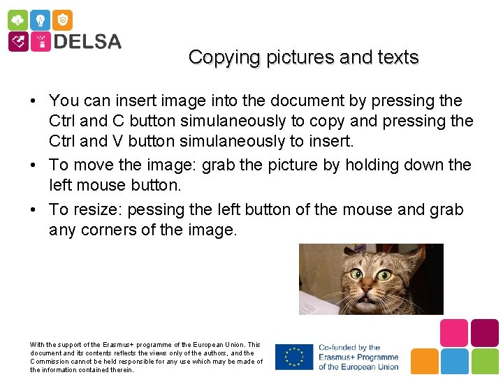 Copying pictures and texts • You can insert image into the document by pressing