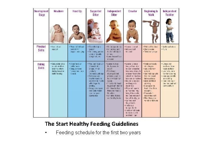 The Start Healthy Feeding Guidelines • Feeding schedule for the first two years 