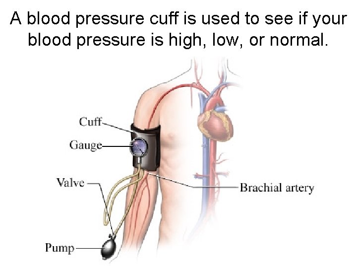 A blood pressure cuff is used to see if your blood pressure is high,