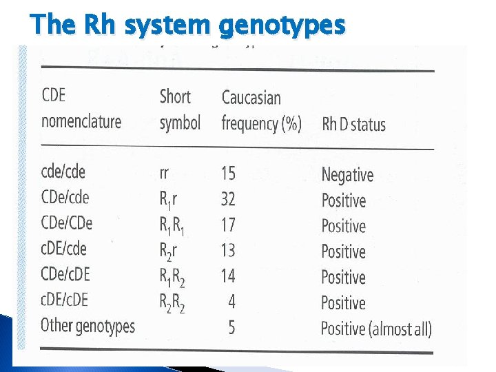 The Rh system genotypes 
