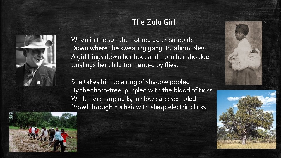 The Zulu Girl When in the sun the hot red acres smoulder Down where