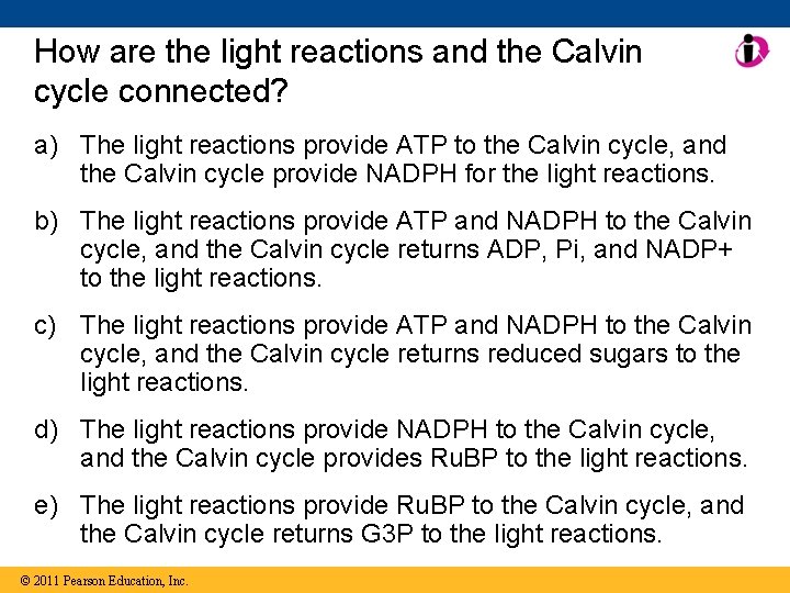 How are the light reactions and the Calvin cycle connected? a) The light reactions