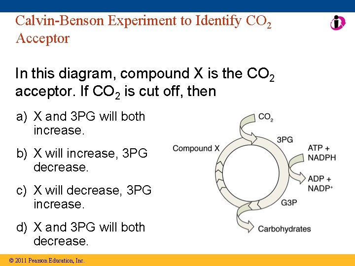 Calvin-Benson Experiment to Identify CO 2 Acceptor In this diagram, compound X is the