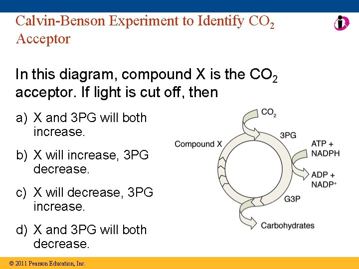 Calvin-Benson Experiment to Identify CO 2 Acceptor In this diagram, compound X is the
