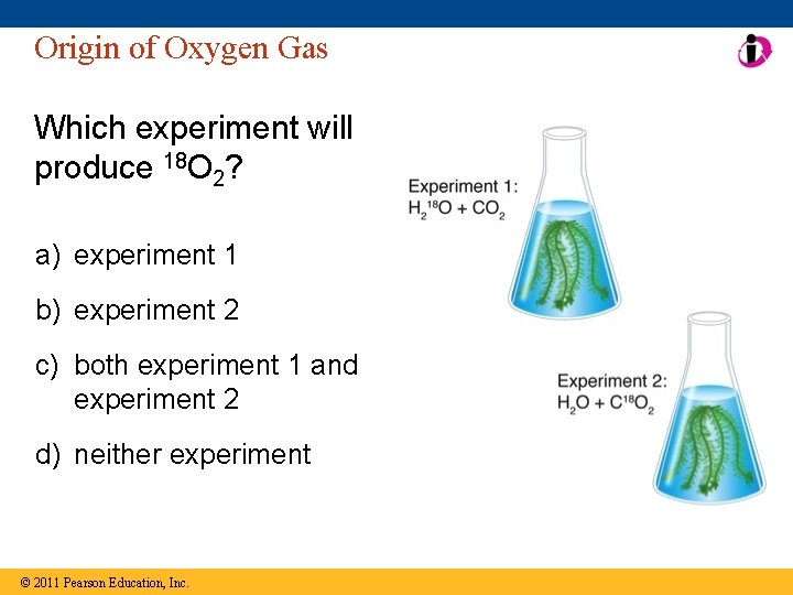 Origin of Oxygen Gas Which experiment will produce 18 O 2? a) experiment 1
