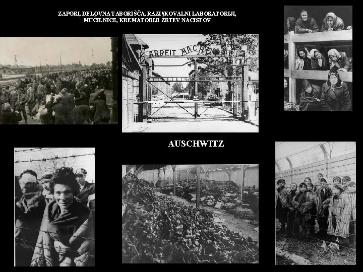 ZAPORI, DELOVNA TABORIŠČA, RAZISKOVALNI LABORATORIJI, MUČILNICE, KREMATORIJI ŽRTEV NACISTOV AUSCHWITZ 