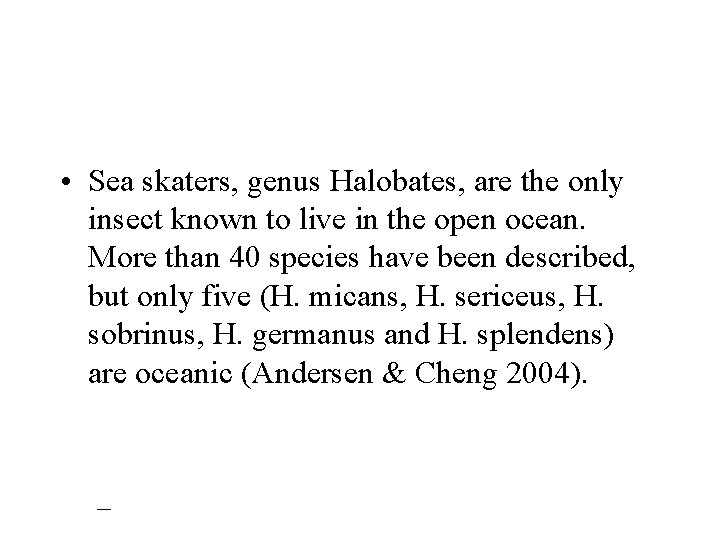  • Sea skaters, genus Halobates, are the only insect known to live in