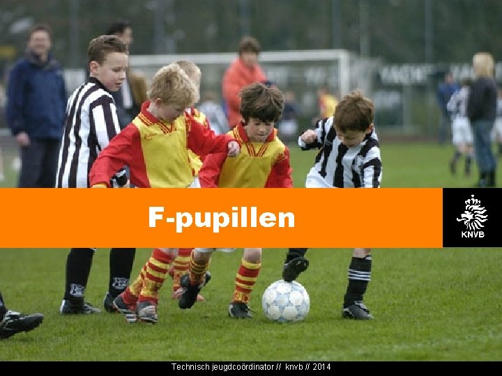 F-pupillen Technisch jeugdcoördinator // knvb // 2014 