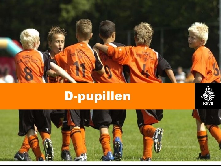 D-pupillen 