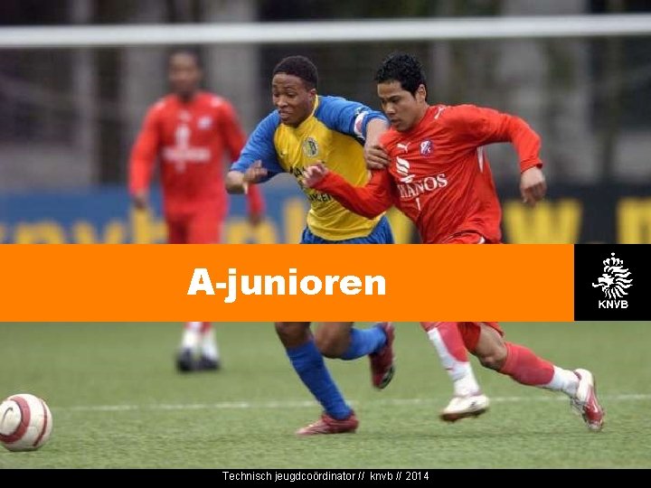 A-junioren Technisch jeugdcoördinator // knvb // 2014 