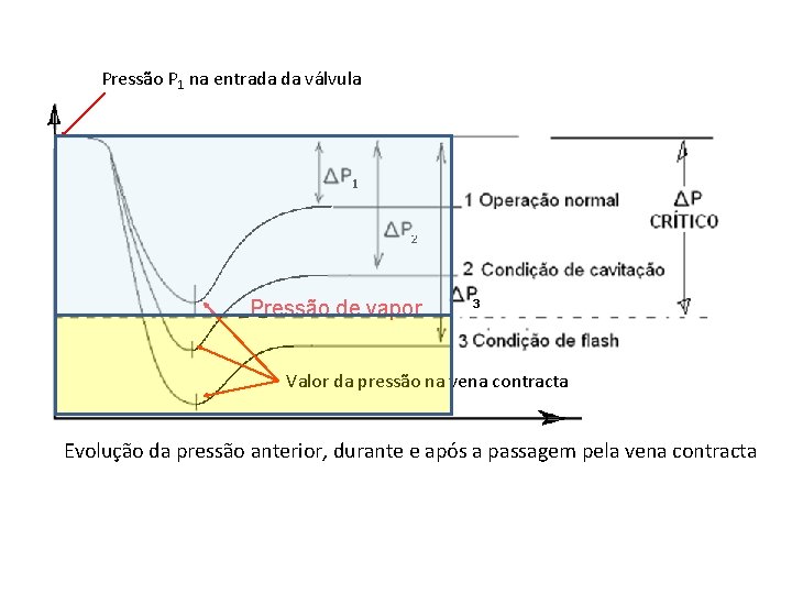 Pressão P 1 na entrada da válvula Pressão de vapor Valor da pressão na