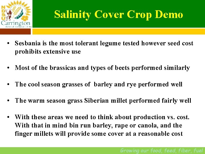 Salinity Cover Crop Demo • Sesbania is the most tolerant legume tested however seed
