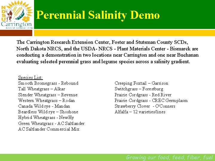 Perennial Salinity Demo The Carrington Research Extension Center, Foster and Stutsman County SCDs, North