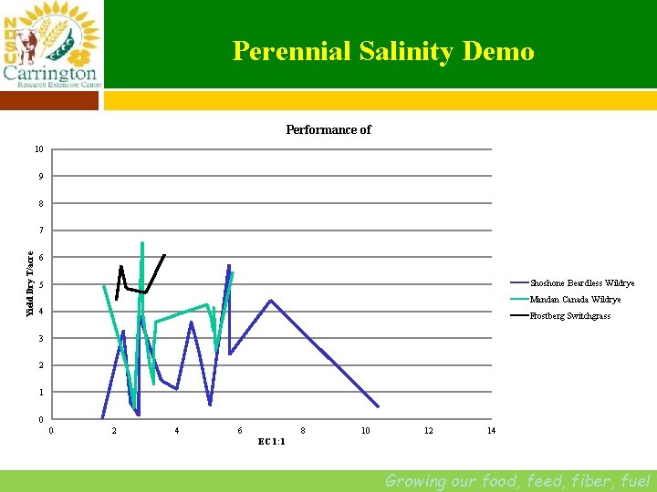 Perennial Salinity Demo Performance of 10 9 8 Yield Dry T/acre 7 6 Shoshone