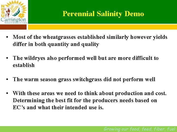 Perennial Salinity Demo • Most of the wheatgrasses established similarly however yields differ in