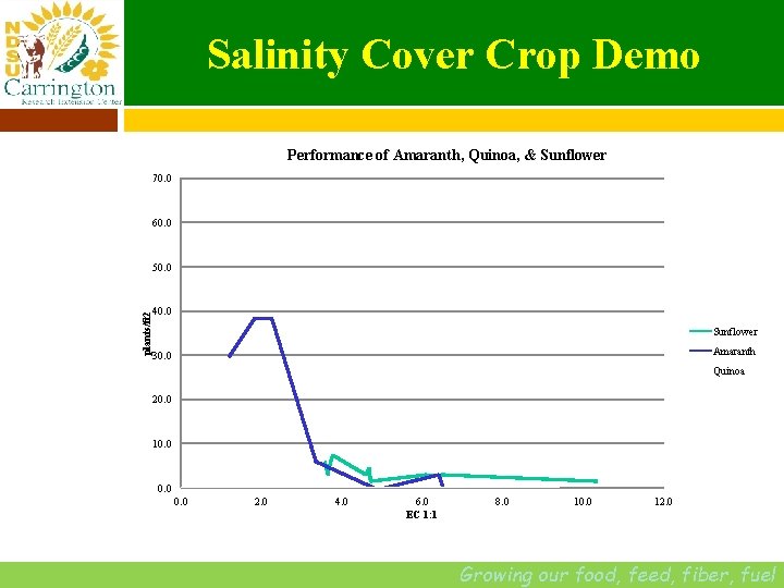 Salinity Cover Crop Demo Performance of Amaranth, Quinoa, & Sunflower 70. 0 60. 0