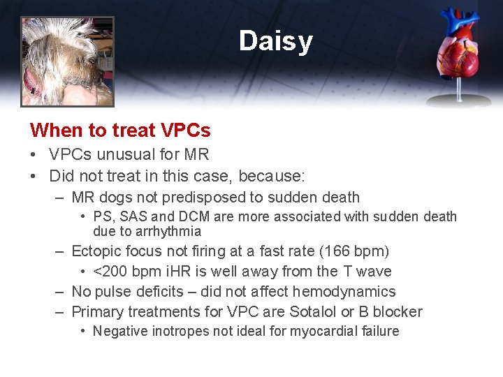 Daisy When to treat VPCs • VPCs unusual for MR • Did not treat