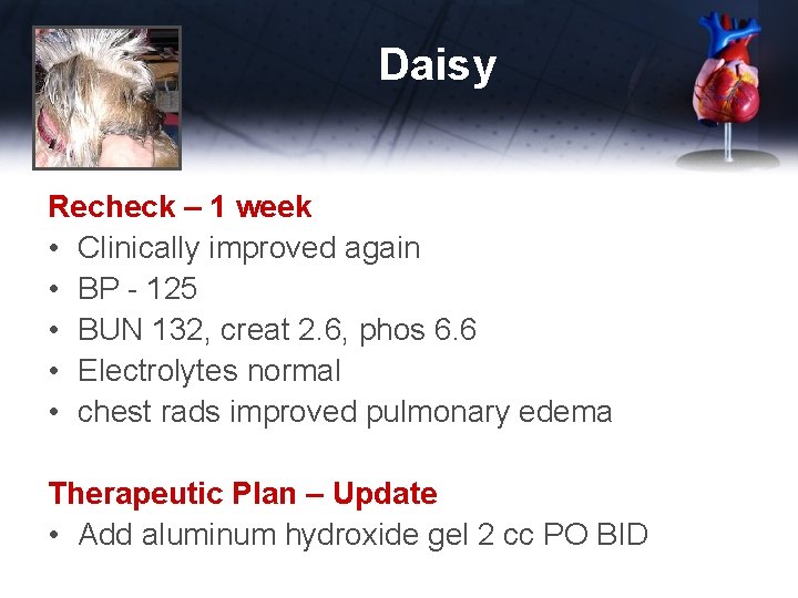 Daisy Recheck – 1 week • Clinically improved again • BP - 125 •